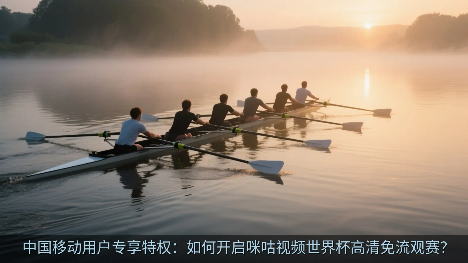 球迷在户外使用移动设备流畅观看高清足球比赛统计画面